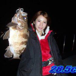 オーシャンマスター 釣果