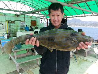 本部釣りイカダ 釣果