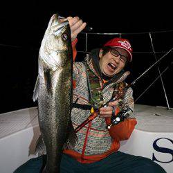 フルコンタクト 釣果