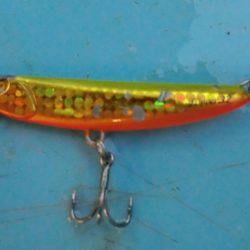 松名瀬フィッシングパーク 釣果