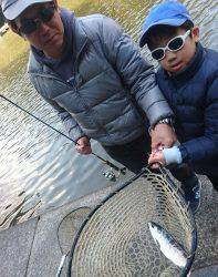 フィッシング サンクチュアリ 釣果