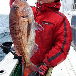 第三むつりょう丸 釣果