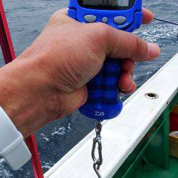 第三むつりょう丸 釣果