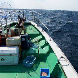 第三むつりょう丸 釣果