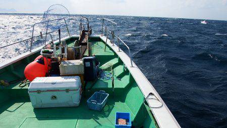 第三むつりょう丸 釣果