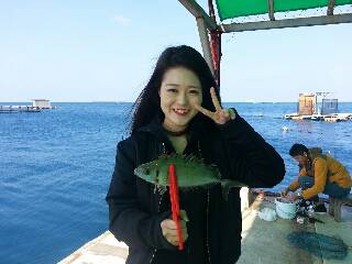 本部釣りイカダ 釣果