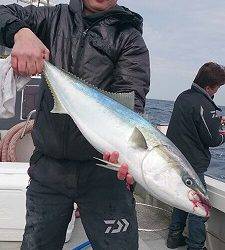 海龍丸（福岡） 釣果