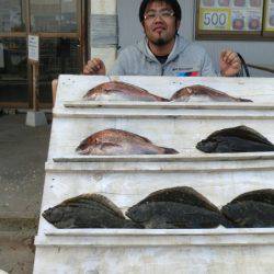 松名瀬フィッシングパーク 釣果