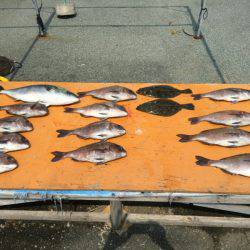 フィッシングパーク錦 釣果