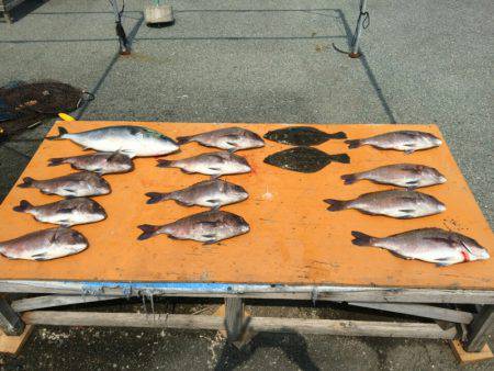 フィッシングパーク錦 釣果