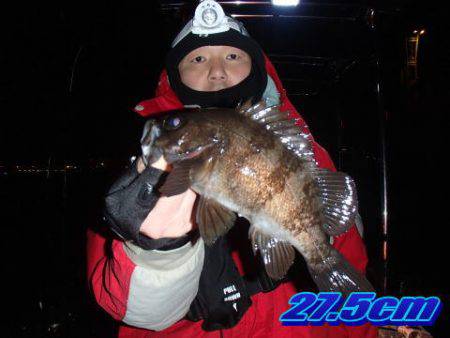 オーシャンマスター 釣果