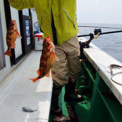 第三むつりょう丸 釣果