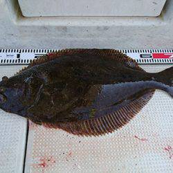 松本釣船2 釣果