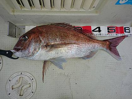 松本釣船2 釣果