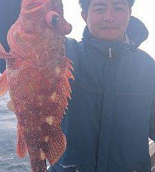 海龍丸(福岡) 釣果