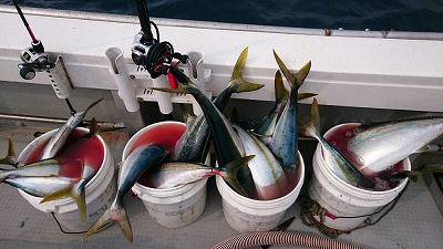 海龍丸(福岡) 釣果