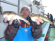 七福丸 釣果
