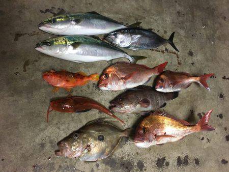 長栄丸(千葉) 釣果