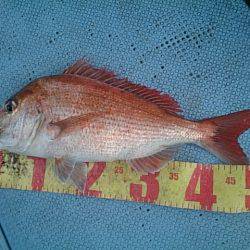 第二常豊丸 釣果