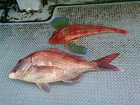 第二常豊丸 釣果