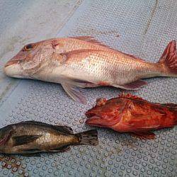 第二常豊丸 釣果