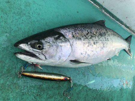 広進丸 釣果