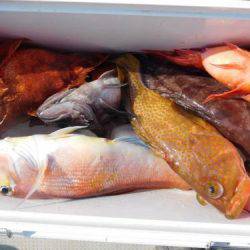 第二一之紀丸（ダイニイチノキマル） 釣果