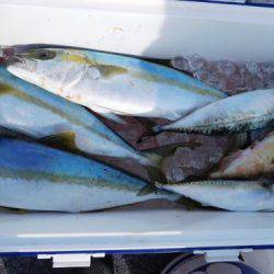 第二一之紀丸（ダイニイチノキマル） 釣果