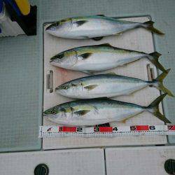 スカイマリン 釣果