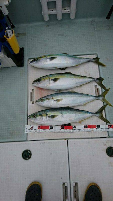 スカイマリン 釣果