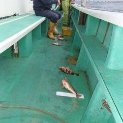 第二むつ漁丸 釣果