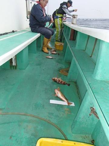 第二むつ漁丸 釣果