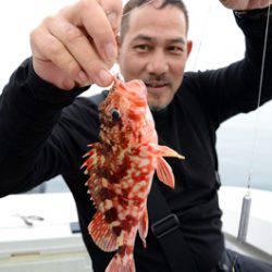 Marine T Design マリンティーデザイン 釣果