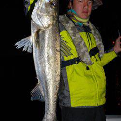 Marine T Design　マリンティーデザイン 釣果