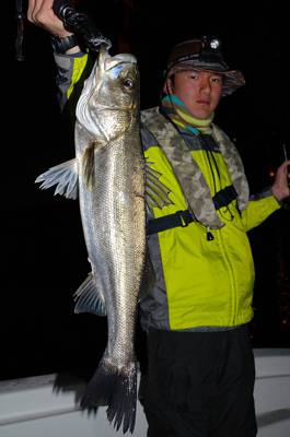 Marine T Design　マリンティーデザイン 釣果