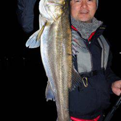 Marine T Design　マリンティーデザイン 釣果