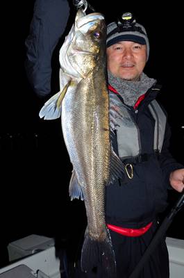 Marine T Design　マリンティ…