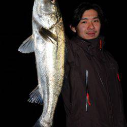 Marine T Design マリンティーデザイン 釣果