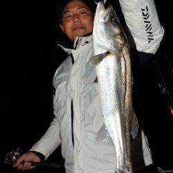 Marine T Design マリンティーデザイン 釣果