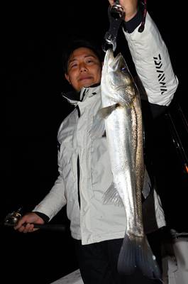 Marine T Design　マリンティ…