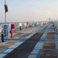 オリジナルメーカー海づり公園(市原市海づり施設) 釣果