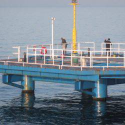 オリジナルメーカー海づり公園(市原市海づり施設) 釣果