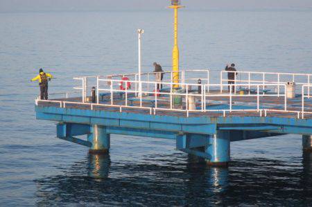 オリジナルメーカー海づり公園(市原市海づり施設) 釣果