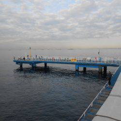 オリジナルメーカー海づり公園(市原市海づり施設) 釣果