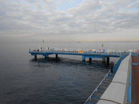 オリジナルメーカー海づり公園(市原市海づり施設) 釣果