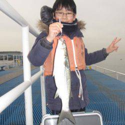 オリジナルメーカー海づり公園(市原市海づり施設) 釣果