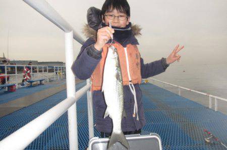 オリジナルメーカー海づり公園(市原市海づり施設) 釣果