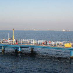 オリジナルメーカー海づり公園(市原市海づり施設) 釣果