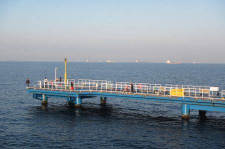 オリジナルメーカー海づり公園(市原市海づり施設) 釣果