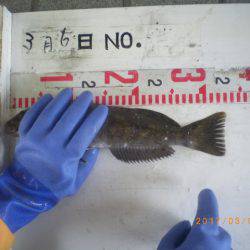 姫路市立遊魚センター 釣果